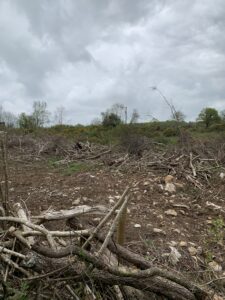 Digger Aftermath in Ireland